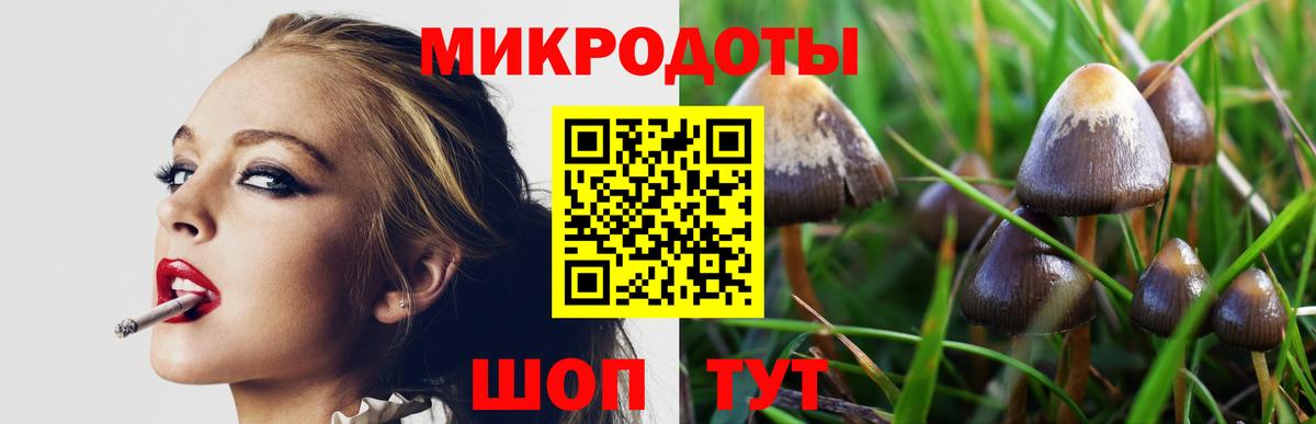 Похвистнево  Псилоцибиновые грибы Magic Shrooms  Псилоцибиновые грибы Cubensis  Вход с VPN 